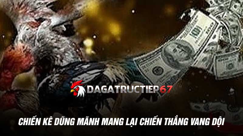 Chiến kê dũng mãnh mang lại chiến thắng vang dội